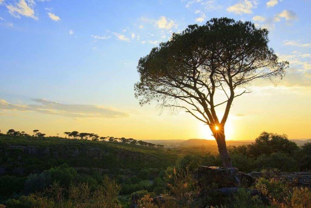 Orange Sunset Lägenhet Draguignan Exteriör bild